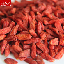 New ningxia grossista orgânica natural goji berry